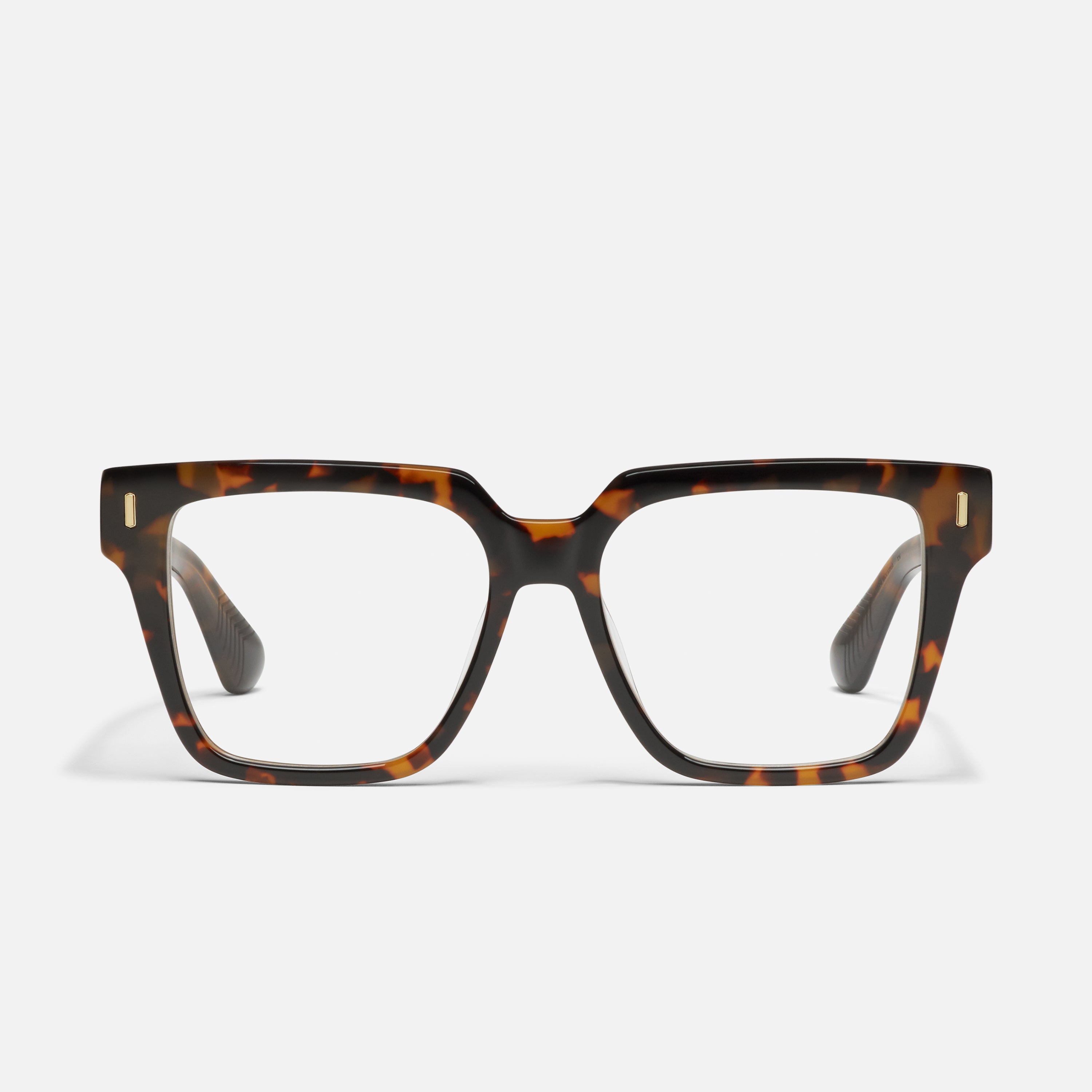 Bold Type Rx - Image 9