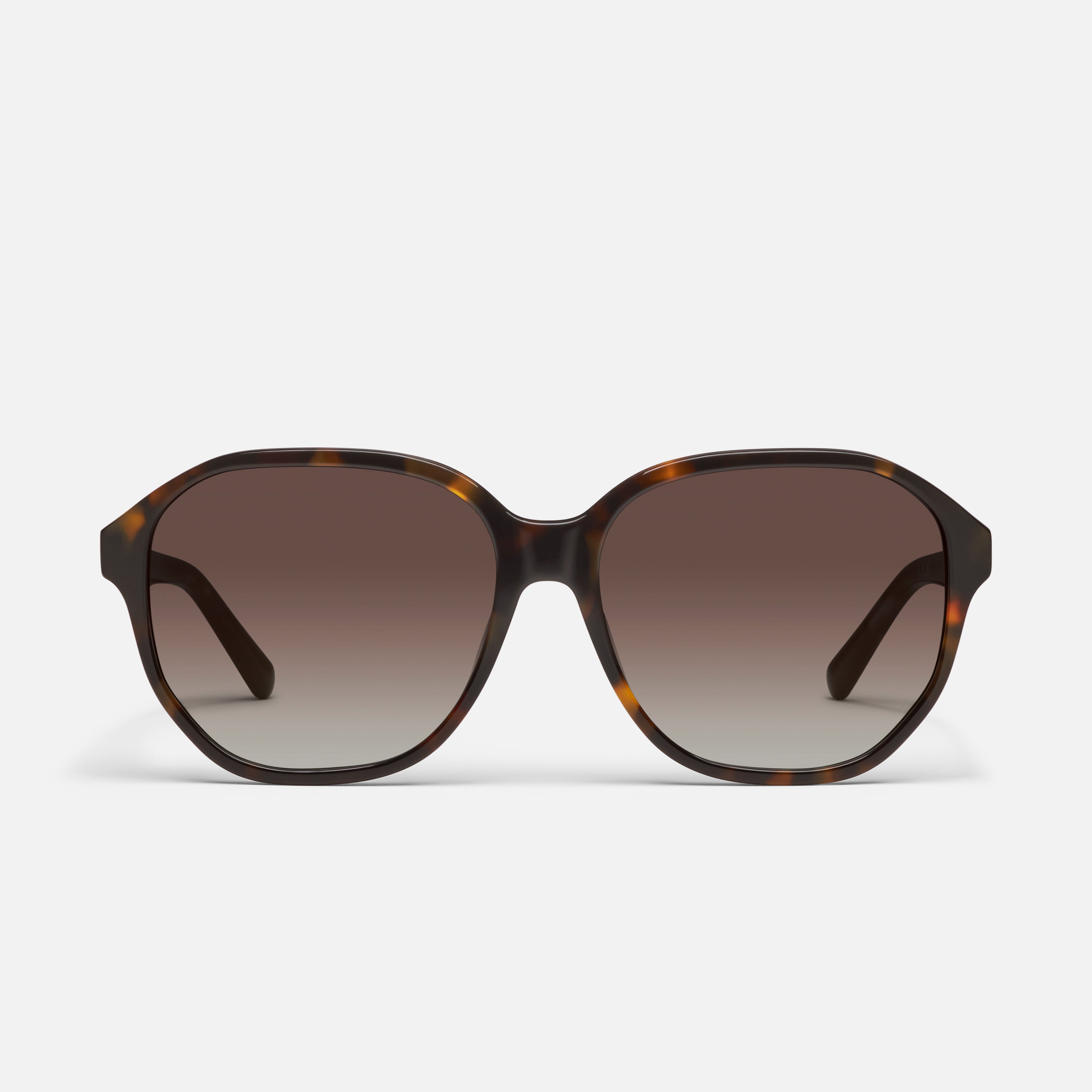 Guess Again Rx - Image 5