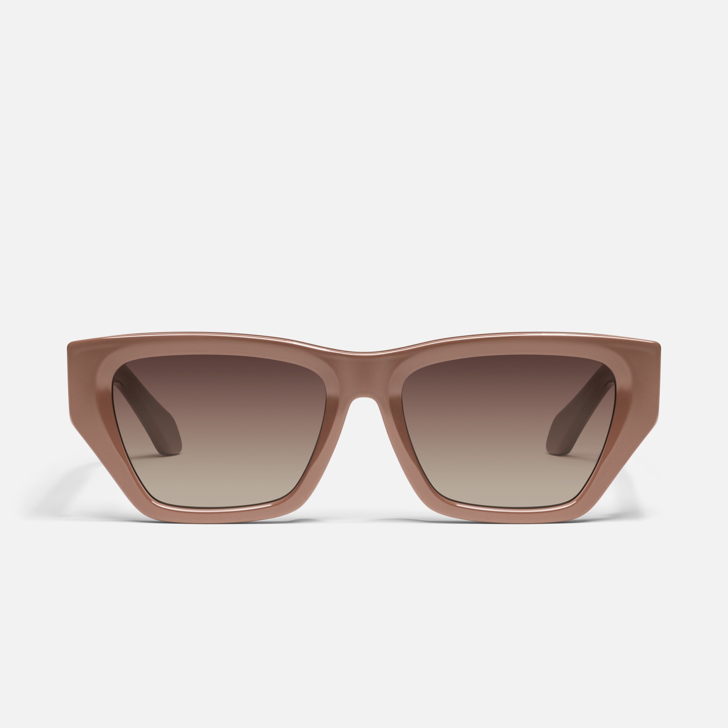 No Apologies - Image 5